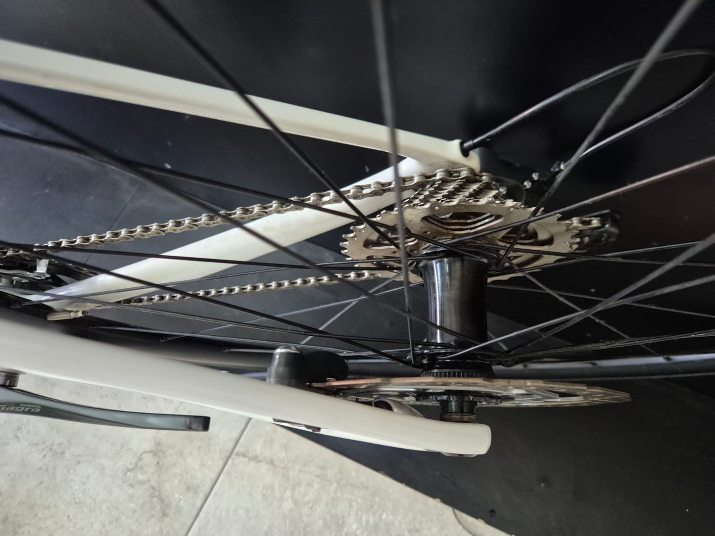 Bicicleta Specialized Tarmac SL6 2021