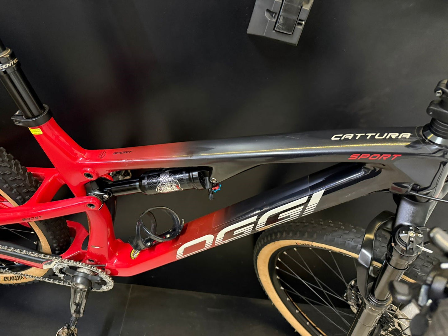 Bicicleta Oggi Cattura Sport