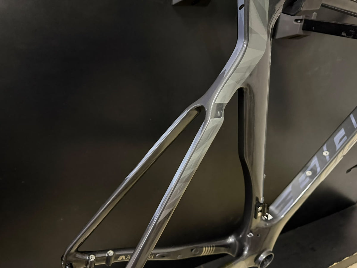 Quadro Giant Propel Advanced Disc