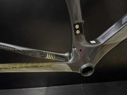 Quadro Giant Propel Advanced Disc